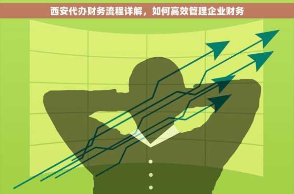 西安代办财务流程详解，如何高效管理企业财务