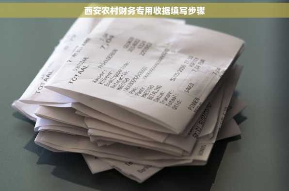 西安农村财务专用收据填写步骤