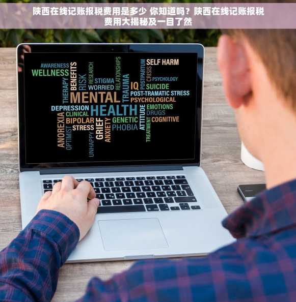 陕西在线记账报税费用是多少 你知道吗？陕西在线记账报税费用大揭秘及一目了然