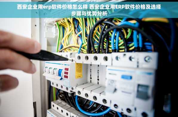 西安企业用erp软件价格怎么样 西安企业用ERP软件价格及选择步骤与优势分析
