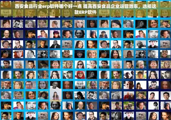 西安食品行业erp软件哪个好一点 提高西安食品企业运营效率，选择这款ERP软件