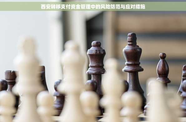 西安转移支付资金管理中的风险防范与应对措施