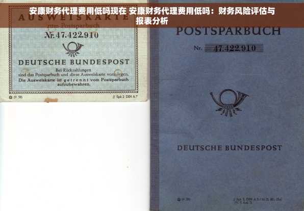 安康财务代理费用低吗现在 安康财务代理费用低吗：财务风险评估与报表分析