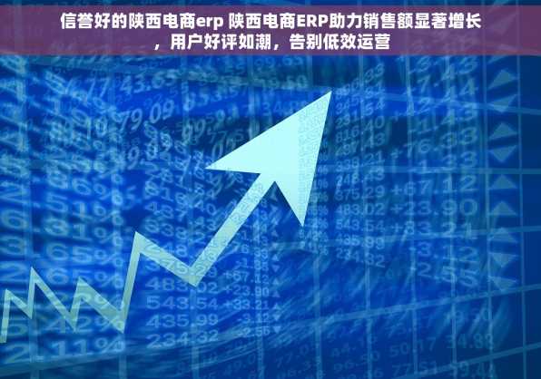 信誉好的陕西电商erp 陕西电商ERP助力销售额显著增长，用户好评如潮，告别低效运营