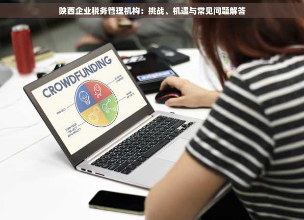 陕西企业税务管理机构：挑战、机遇与常见问题解答