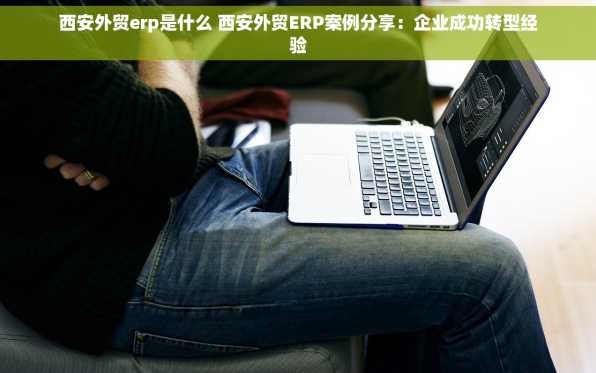 西安外贸erp是什么 西安外贸ERP案例分享：企业成功转型经验