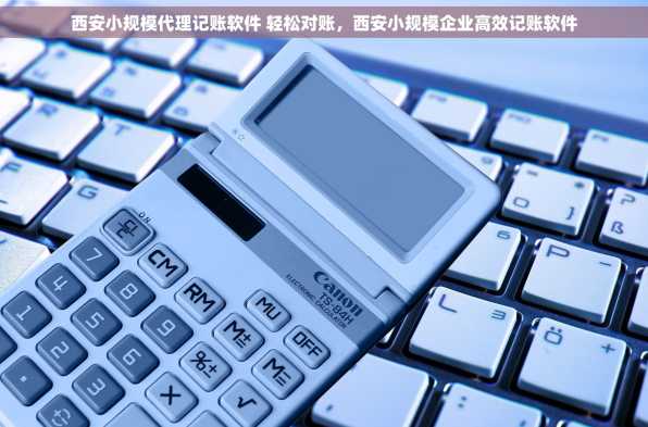 西安小规模代理记账软件 轻松对账，西安小规模企业高效记账软件