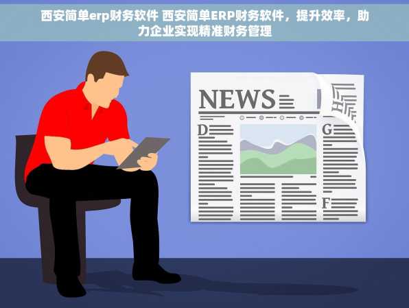 西安简单erp财务软件 西安简单ERP财务软件，提升效率，助力企业实现精准财务管理