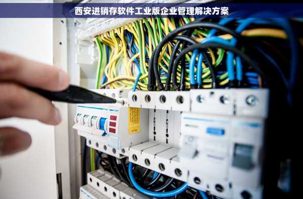 西安进销存软件工业版企业管理解决方案