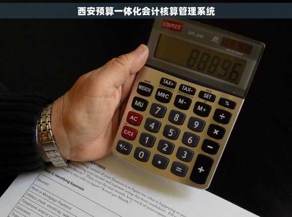 西安预算一体化会计核算管理系统