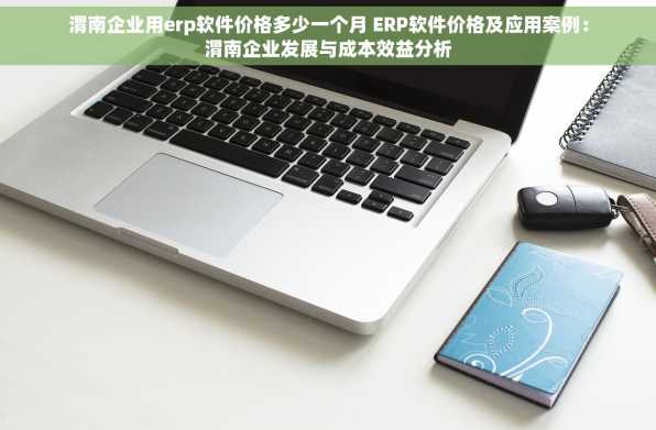 渭南企业用erp软件价格多少一个月 ERP软件价格及应用案例：渭南企业发展与成本效益分析