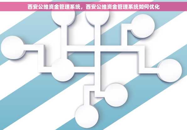 西安公维资金管理系统，西安公维资金管理系统如何优化