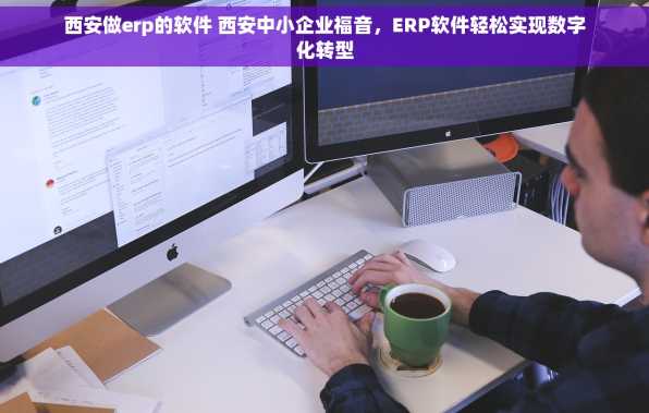 西安做erp的软件 西安中小企业福音，ERP软件轻松实现数字化转型