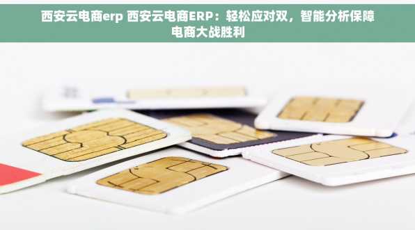 西安云电商erp 西安云电商ERP：轻松应对双，智能分析保障电商大战胜利