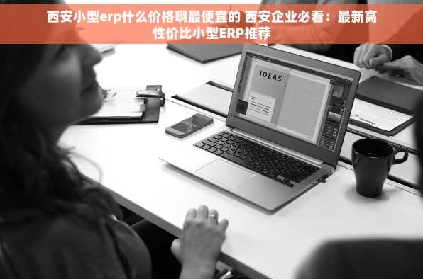 西安小型erp什么价格啊最便宜的 西安企业必看：最新高性价比小型ERP推荐