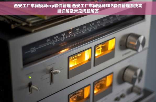 西安工厂车间模具erp软件管理 西安工厂车间模具ERP软件管理系统功能详解及常见问题解答