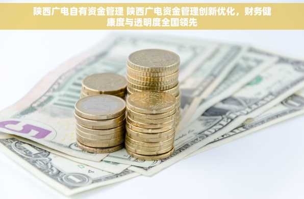 陕西广电自有资金管理 陕西广电资金管理创新优化，财务健康度与透明度全国领先