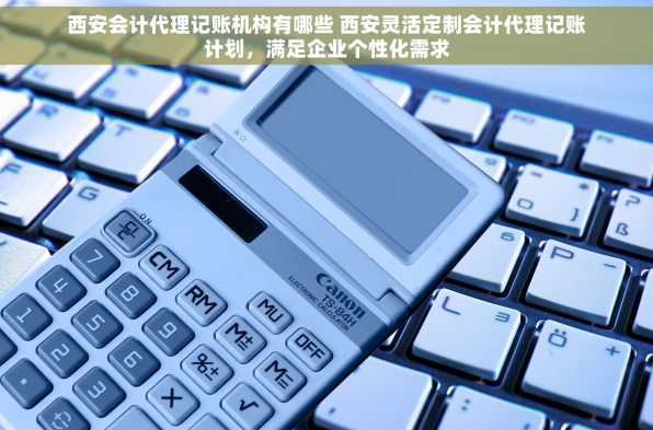 西安会计代理记账机构有哪些 西安灵活定制会计代理记账计划，满足企业个性化需求
