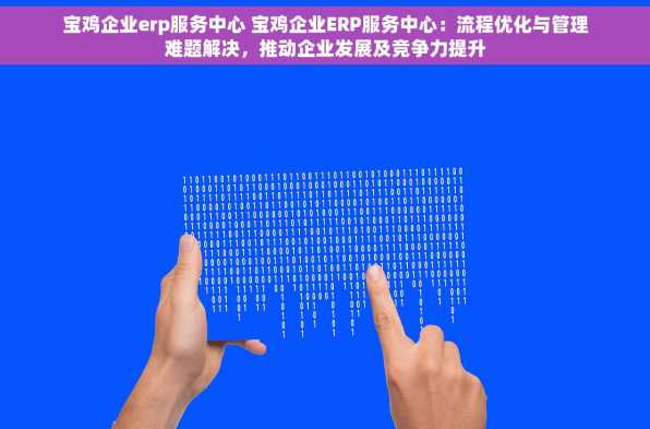 宝鸡企业erp服务中心 宝鸡企业ERP服务中心：流程优化与管理难题解决，推动企业发展及竞争力提升