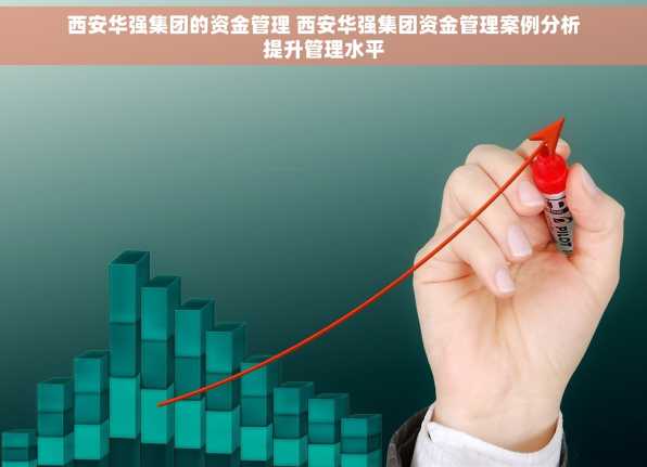 西安华强集团的资金管理 西安华强集团资金管理案例分析提升管理水平
