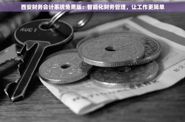 西安财务会计系统免费版：智能化财务管理，让工作更简单