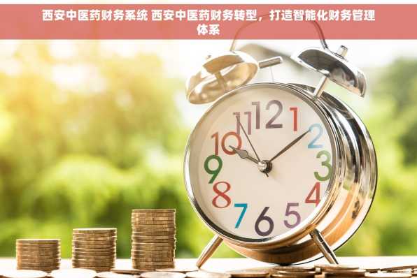 西安中医药财务系统 西安中医药财务转型，打造智能化财务管理体系