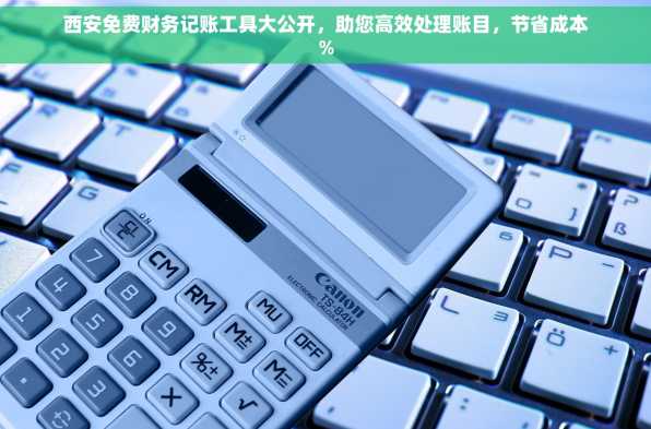 西安免费财务记账工具大公开，助您高效处理账目，节省成本%