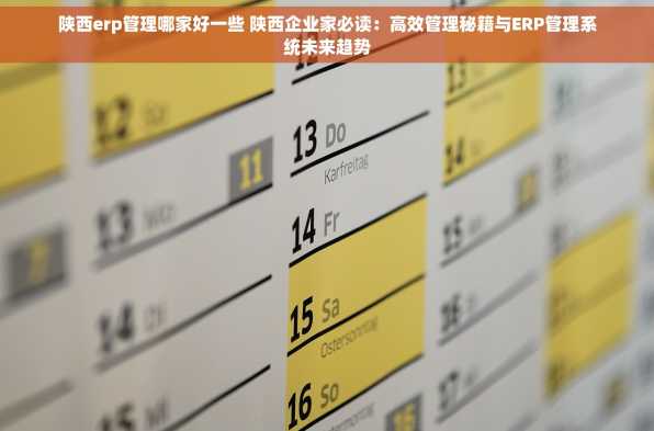 陕西erp管理哪家好一些 陕西企业家必读：高效管理秘籍与ERP管理系统未来趋势