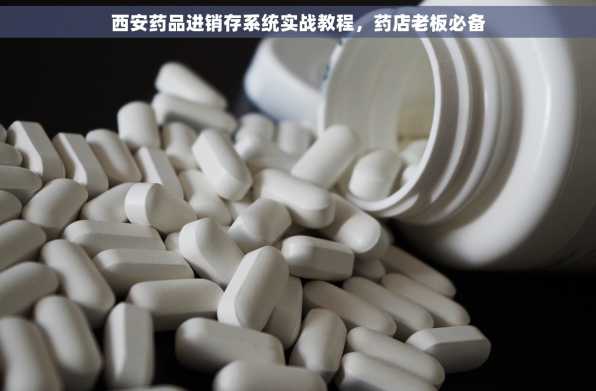 西安药品进销存系统实战教程，药店老板必备