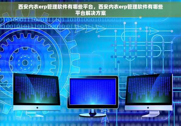 西安内衣erp管理软件有哪些平台，西安内衣erp管理软件有哪些平台解决方案