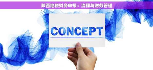 陕西地税财务申报：流程与财务管理