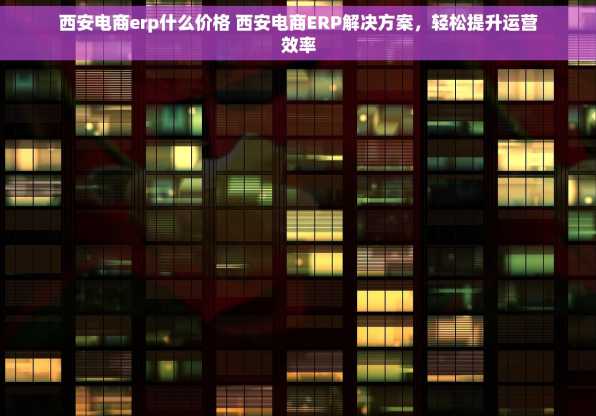 西安电商erp什么价格 西安电商ERP解决方案，轻松提升运营效率