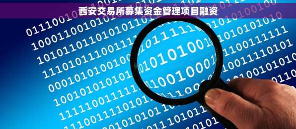 西安交易所募集资金管理项目融资