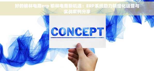 好的榆林电商erp 榆林电商新机遇：ERP系统助力精细化运营与实战案例分享