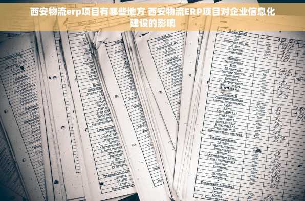 西安物流erp项目有哪些地方 西安物流ERP项目对企业信息化建设的影响