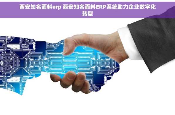 西安知名面料erp 西安知名面料ERP系统助力企业数字化转型