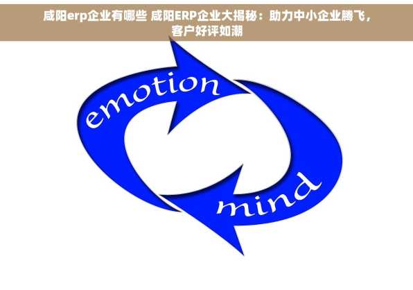 咸阳erp企业有哪些 咸阳ERP企业大揭秘：助力中小企业腾飞，客户好评如潮