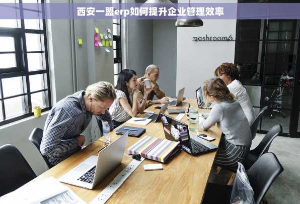西安一盟erp如何提升企业管理效率