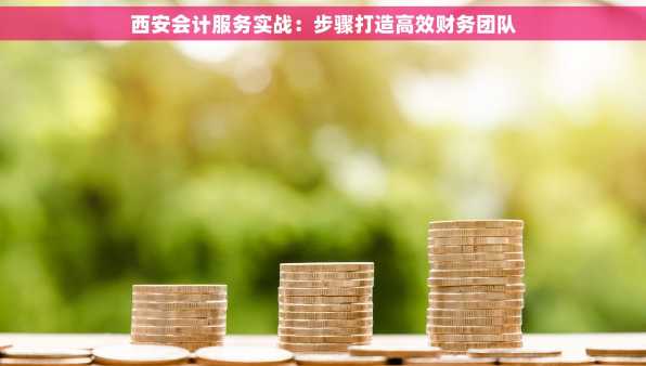 西安会计服务实战：步骤打造高效财务团队