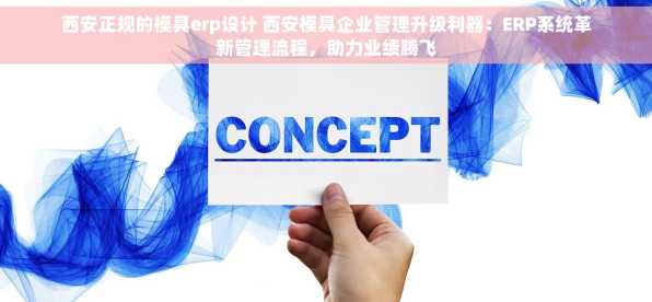 西安正规的模具erp设计 西安模具企业管理升级利器：ERP系统革新管理流程，助力业绩腾飞