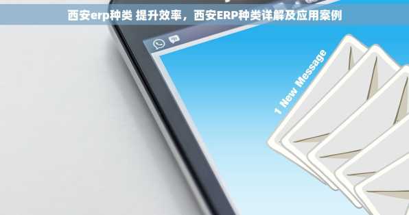 西安erp种类 提升效率，西安ERP种类详解及应用案例