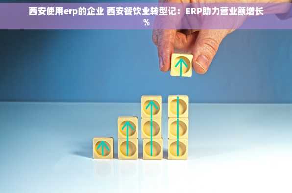 西安使用erp的企业 西安餐饮业转型记：ERP助力营业额增长%