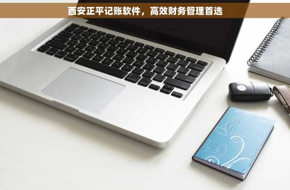 西安正平记账软件，高效财务管理首选