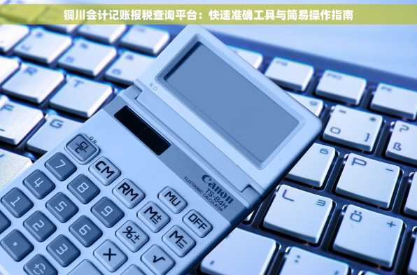 铜川会计记账报税查询平台：快速准确工具与简易操作指南