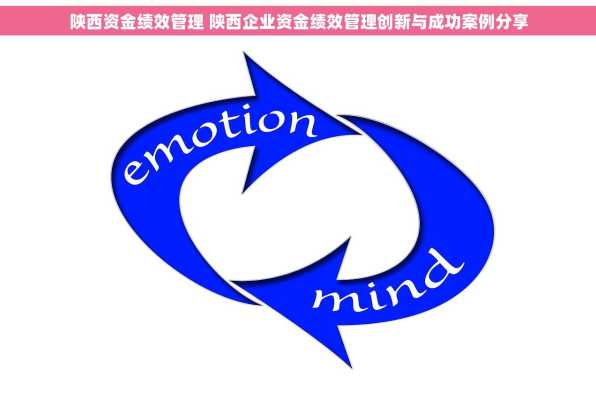 陕西资金绩效管理 陕西企业资金绩效管理创新与成功案例分享
