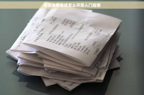 西安发票系统怎么开票入门指南