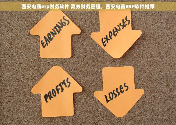 西安电商erp财务软件 高效财务管理，西安电商ERP软件推荐