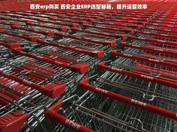 西安erp购买 西安企业ERP选型秘籍，提升运营效率
