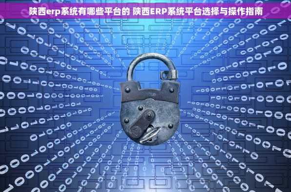 陕西erp系统有哪些平台的 陕西ERP系统平台选择与操作指南
