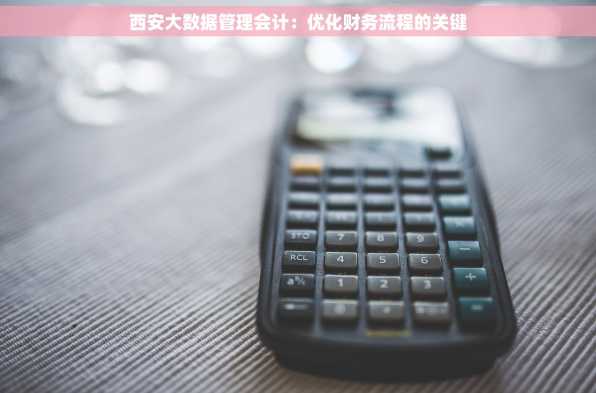 西安大数据管理会计：优化财务流程的关键